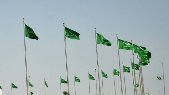 الداخلية السعودية تعلن تنفيذ حكم اعدام مواطن