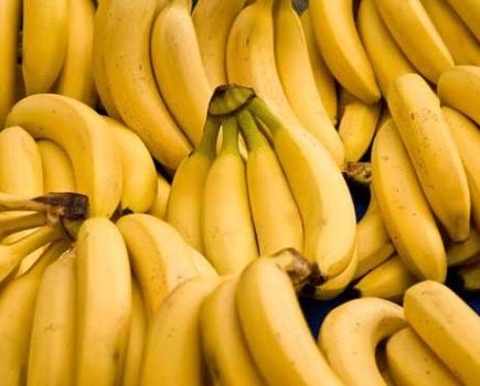 تجويع وتركيع.. مليشيا الحوثي تمنع زراعة الموز وتحظر تصديره للخارج وثيقة