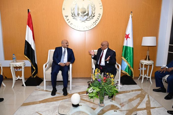 نائب رئيس مجلس القيادة العميد طارق صالح يبحث مع رئيس البرلمان الجيبوتي تعزيز العلاقات الثنائية بين البلدين