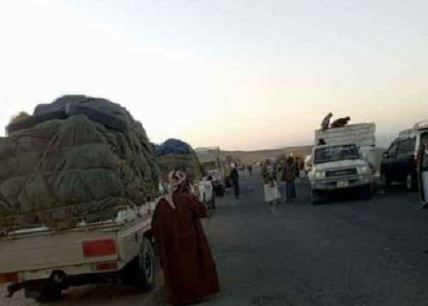 الجوف.. مليشيا الحوثي تفرض ضرائب مضاعفة وتحتجز العشرات من سيارات نقل القات إلى المناطق المحررة