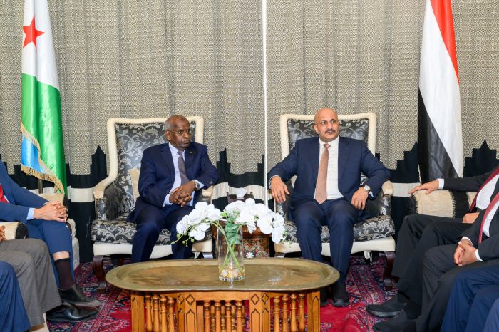 العميد طارق صالح لدى لقائه رئيس وزراء جيبوتي يؤكد على أهمية تعزيز العلاقات والتنسيق المشترك مع دول القرن الأفريقي